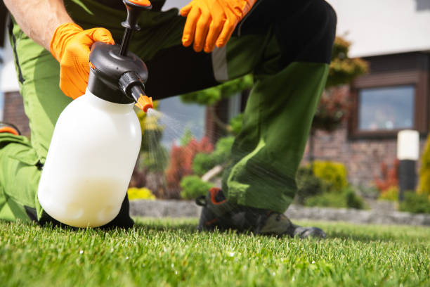 Professional Pest Control in Maiden, NC